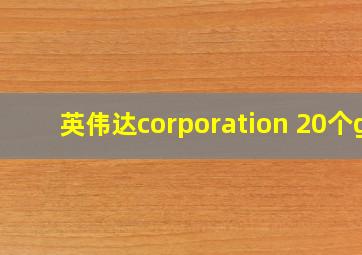 英伟达corporation 20个g